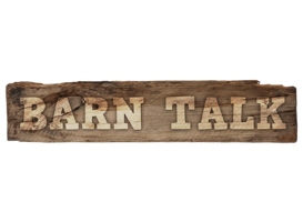 Logo_logo_barn_talk