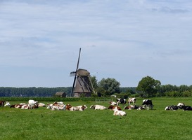 Normal_boerderij