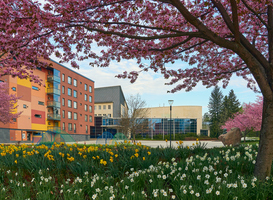 Campus Terneuzen moet bij iedere bezoeker een 'wauw'-gevoel opwekken